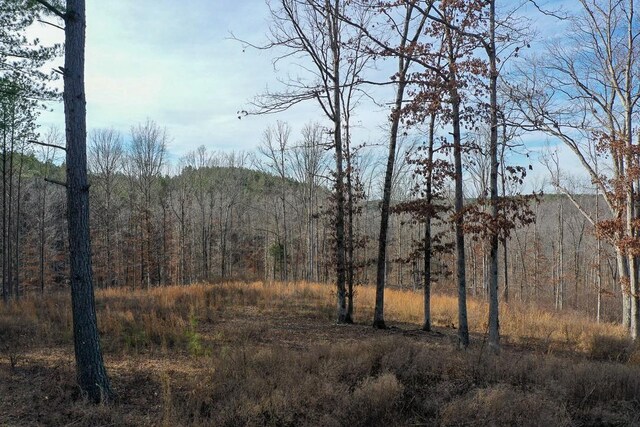2340 Bear Hollow Dr, Waverly, TN 37185