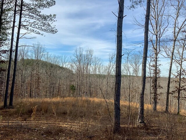 2340 Bear Hollow Dr, Waverly, TN 37185