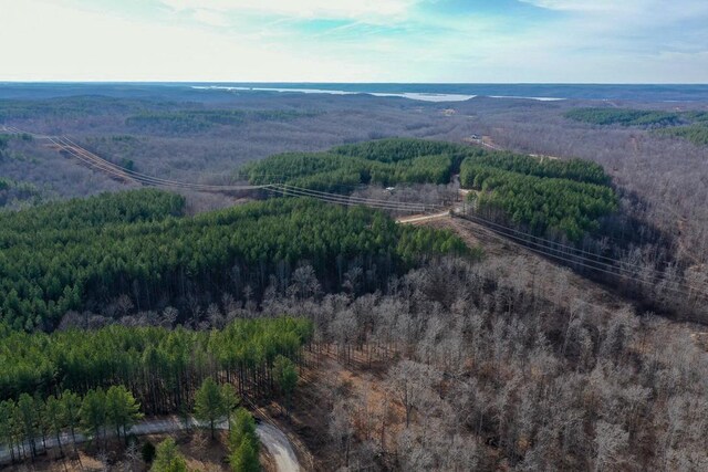 2340 Bear Hollow Dr, Waverly, TN 37185