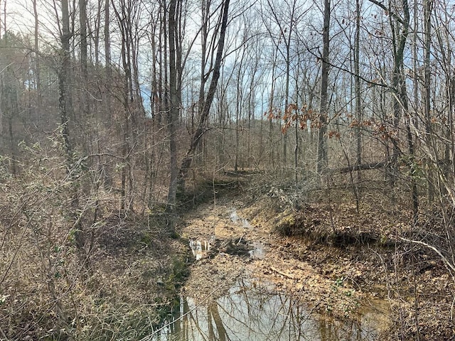 2340 Bear Hollow Dr, Waverly, TN 37185