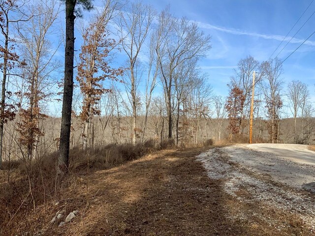 2340 Bear Hollow Dr, Waverly, TN 37185