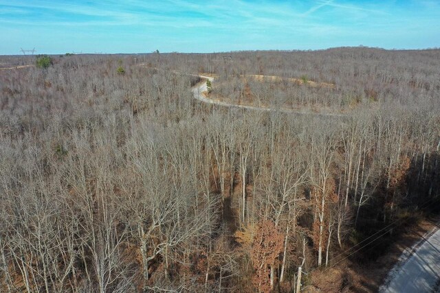 2340 Bear Hollow Dr, Waverly, TN 37185