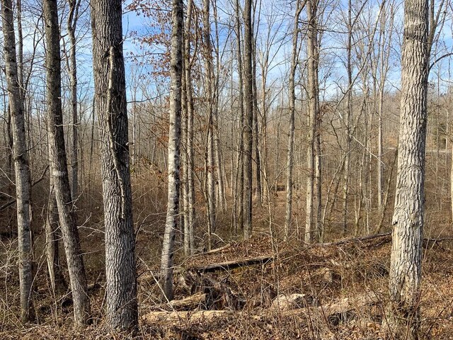 2340 Bear Hollow Dr, Waverly, TN 37185