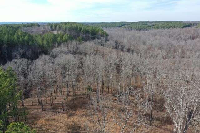 2340 Bear Hollow Dr, Waverly, TN 37185