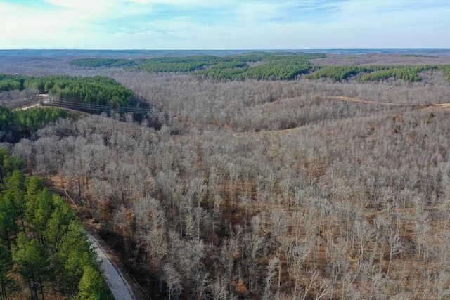2340 Bear Hollow Dr, Waverly, TN 37185
