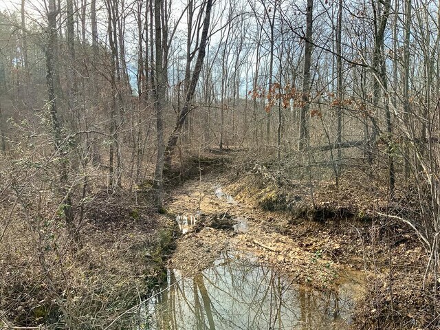 2340 Bear Hollow Dr, Waverly, TN 37185