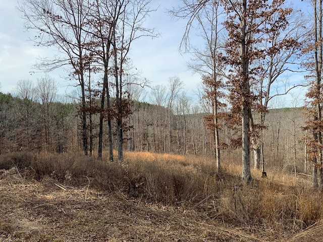 2340 Bear Hollow Dr, Waverly, TN 37185