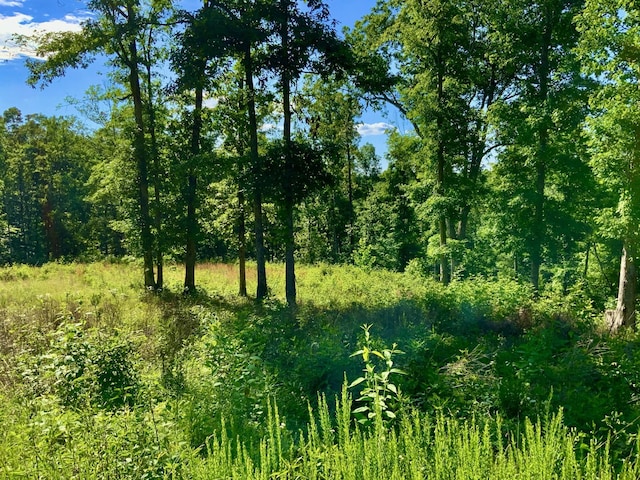 2340 Bear Hollow Dr, Waverly, TN 37185