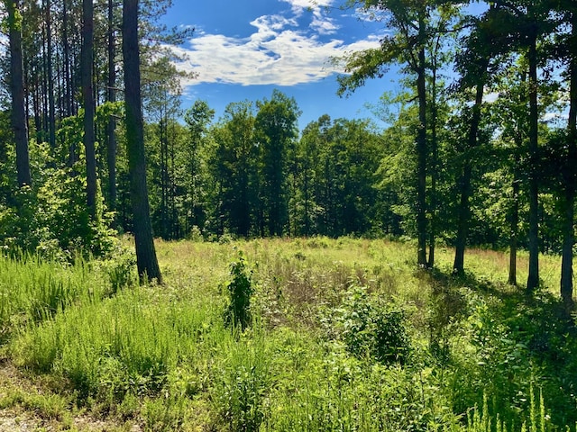 2340 Bear Hollow Dr, Waverly, TN 37185