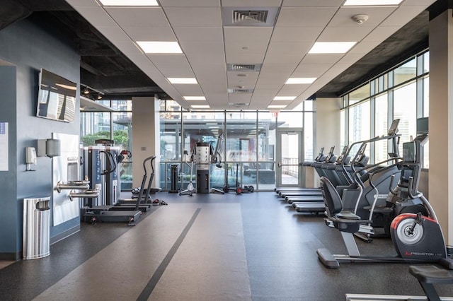 workout area featuring a paneled ceiling, visible vents, and expansive windows