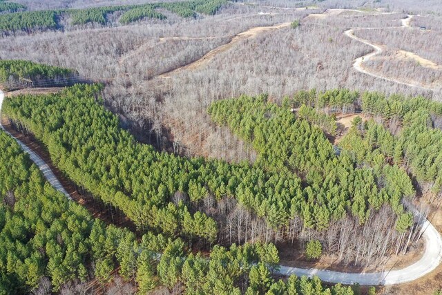 0 Bear Hollow Dr, Waverly, TN 37185