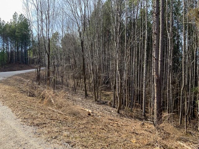0 Bear Hollow Dr, Waverly, TN 37185
