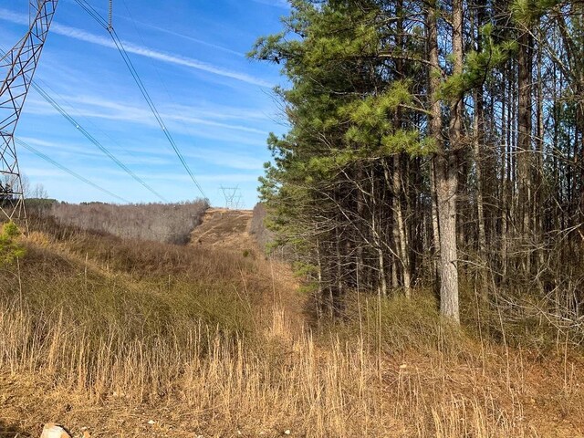 0 Bear Hollow Dr, Waverly, TN 37185