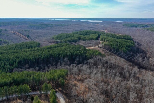 0 Bear Hollow Dr, Waverly, TN 37185