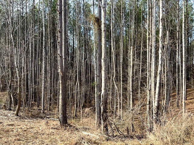 0 Bear Hollow Dr, Waverly, TN 37185