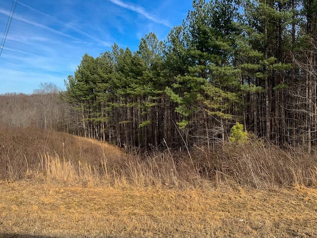 0 Bear Hollow Dr, Waverly, TN 37185