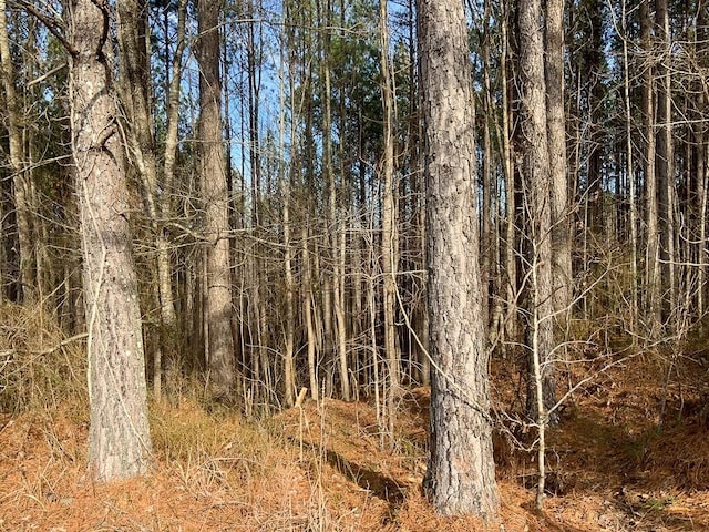 0 Bear Hollow Dr, Waverly, TN 37185