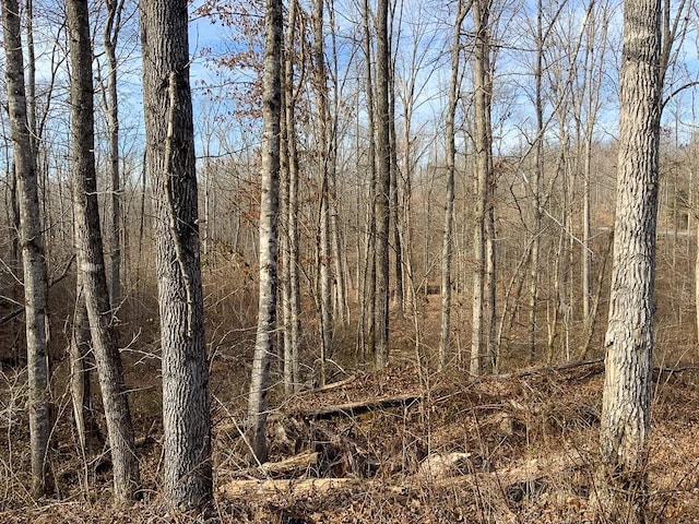 0 Bear Hollow Dr, Waverly, TN 37185