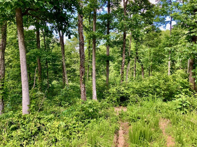 0 Bear Hollow Dr, Waverly, TN 37185