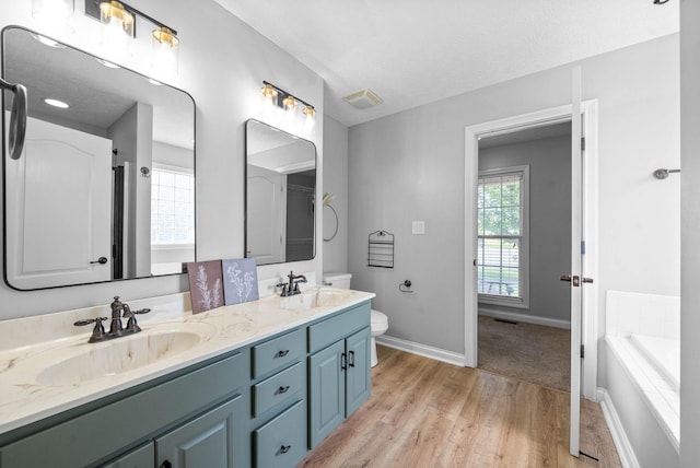 580 Mountain View Dr, Clarksville, TN 37043 - bathroom with toilet, wood finished floors, double vanity, and a sink