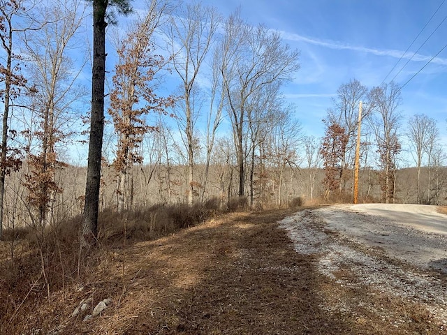 0 Bear Hollow Rd, Waverly, TN 37185