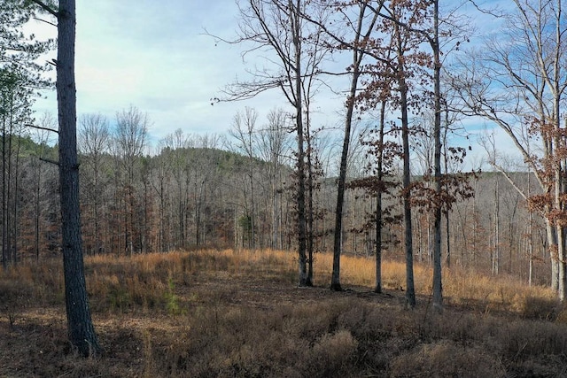 0 Bear Hollow Rd, Waverly, TN 37185