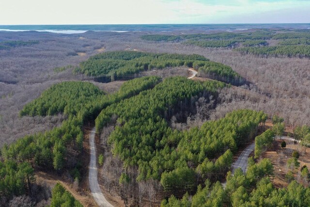 0 Bear Hollow Rd, Waverly, TN 37185