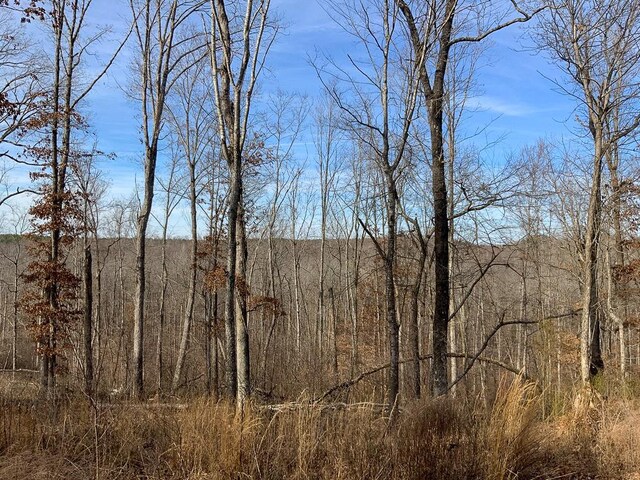 0 Bear Hollow Rd, Waverly, TN 37185