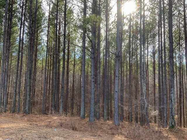 0 Bear Hollow Rd, Waverly, TN 37185