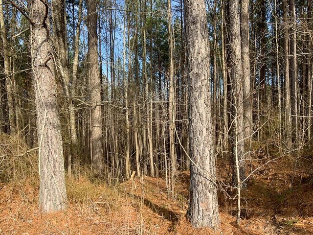 0 Bear Hollow Rd, Waverly, TN 37185