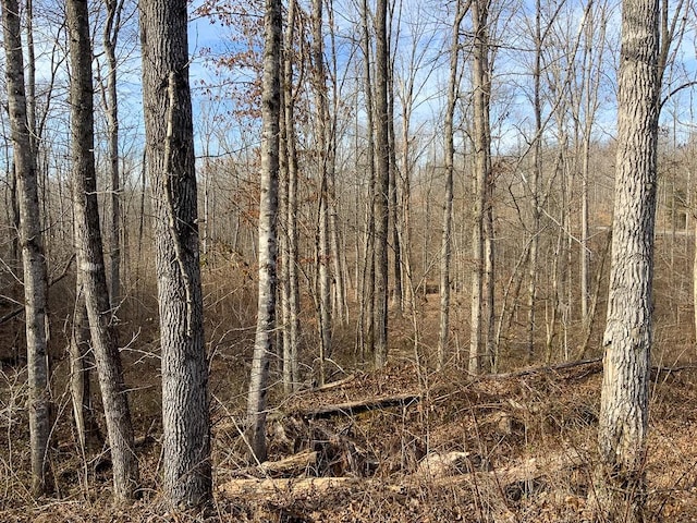 0 Bear Hollow Rd, Waverly, TN 37185
