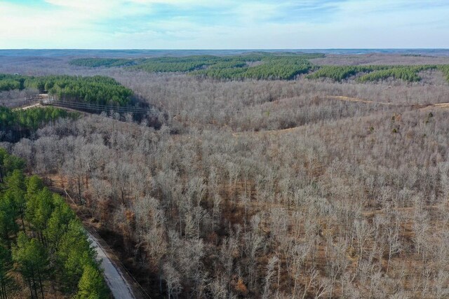0 Bear Hollow Rd, Waverly, TN 37185