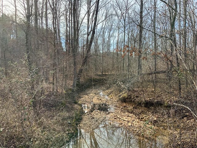 0 Bear Hollow Rd, Waverly, TN 37185