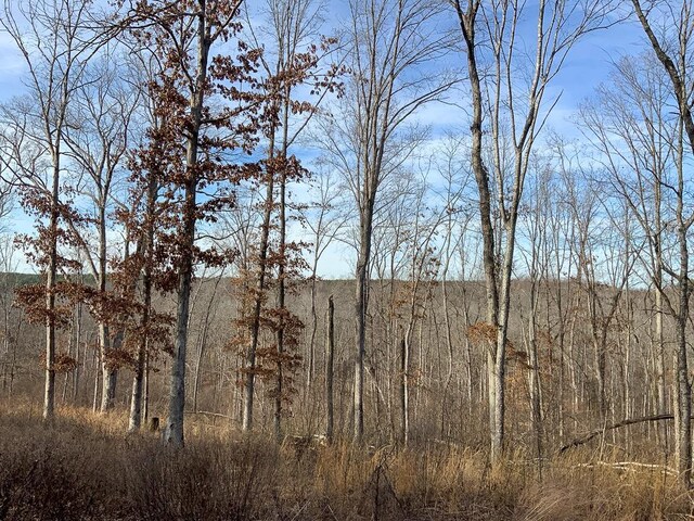 0 Bear Hollow Rd, Waverly, TN 37185