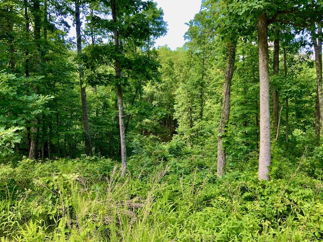 0 Bear Hollow Rd, Waverly, TN 37185