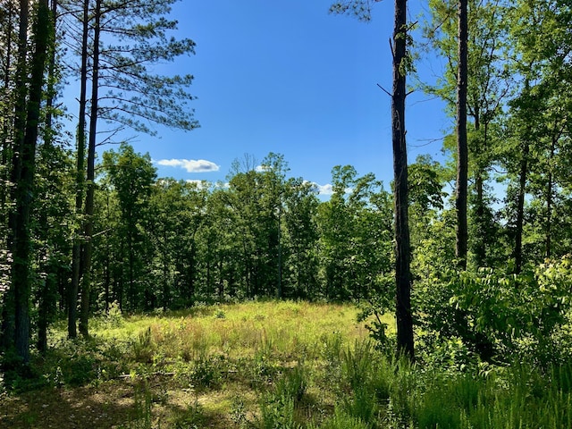 0 Bear Hollow Rd, Waverly, TN 37185