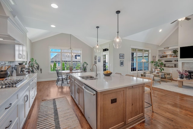 1009 Alpaca Dr, Spring Hill, TN 37174 - kitchen featuring appliances with stainless steel finishes, light wood finished floors, a sink, and vaulted ceiling