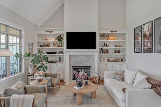 1009 Alpaca Dr, Spring Hill, TN 37174 - living area with built in features, wood finished floors, a premium fireplace, and lofted ceiling