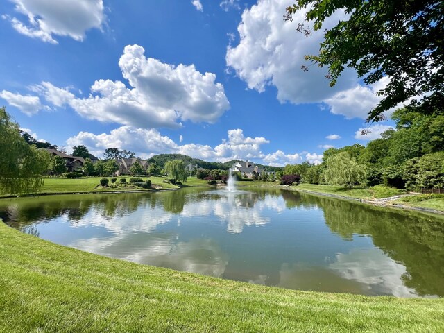 1506 Amesbury Ln, Franklin, TN 37069 - photo 100
