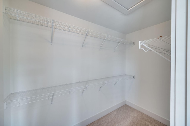 509D Chesterfield Ave, Nashville, TN 37212 - walk in closet featuring light colored carpet