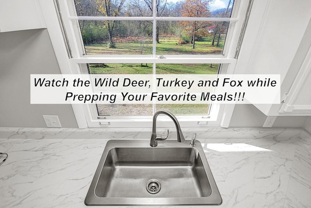 216 Belding Dr, Nashville, TN 37214 - details featuring light stone countertops, a sink, and white cabinets