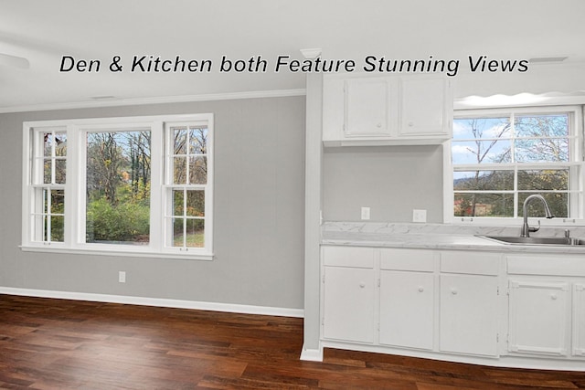 216 Belding Dr, Nashville, TN 37214 - kitchen with a sink, plenty of natural light, crown molding, and dark wood-style flooring
