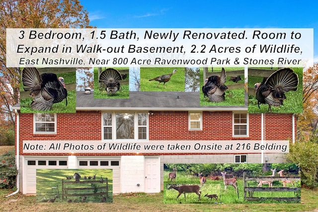 216 Belding Dr, Nashville, TN 37214 - a document