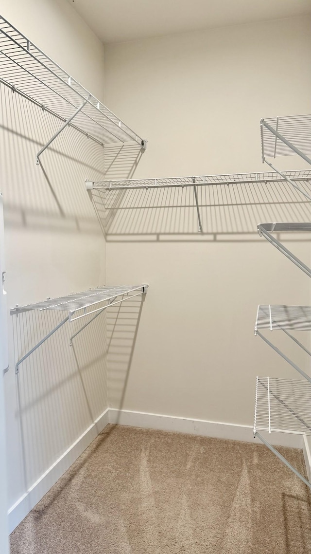 4316 Summercrest Blvd Unit 1003, Antioch, TN 37013 - spacious closet featuring carpet floors