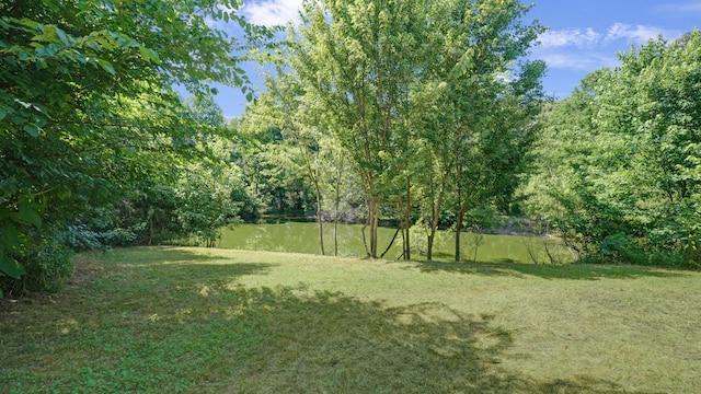 view of yard featuring a view of trees