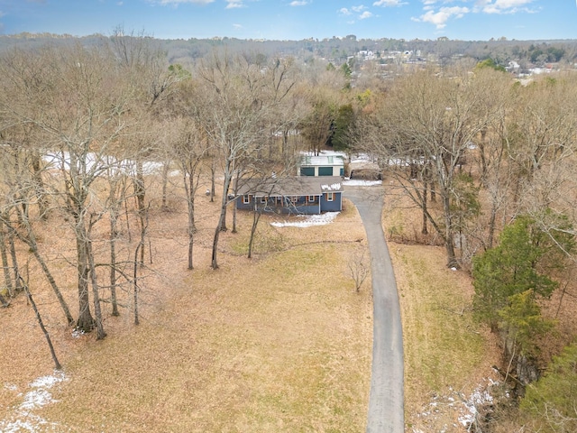 drone / aerial view