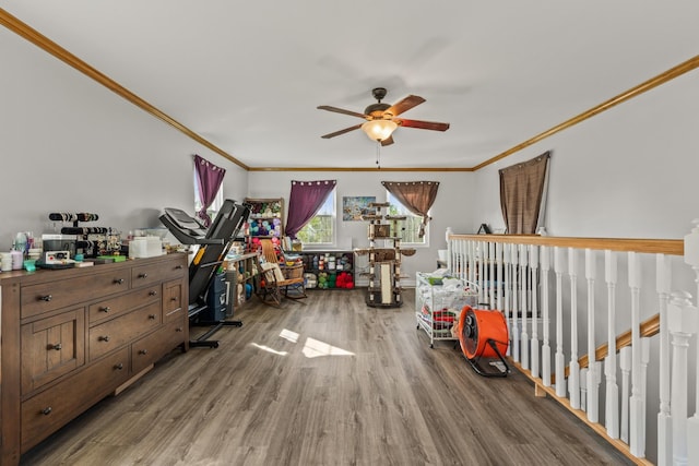 interior space featuring a ceiling fan and wood finished floors
