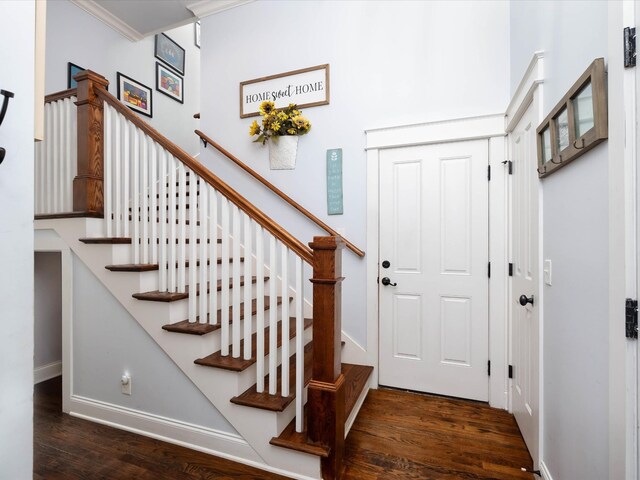 1698 Burke Hollow Rd, Nolensville, TN 37135 - stairway featuring wood finished floors and baseboards