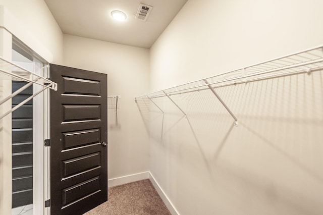 224 Griffin Ln, Gallatin, TN 37066 - walk in closet with carpet flooring and visible vents