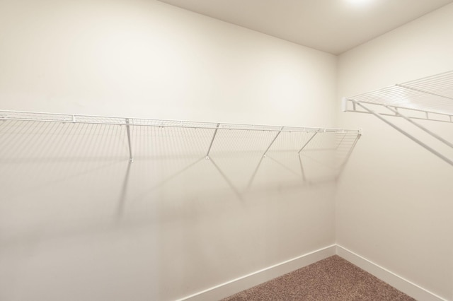 224 Griffin Ln, Gallatin, TN 37066 - spacious closet featuring carpet floors